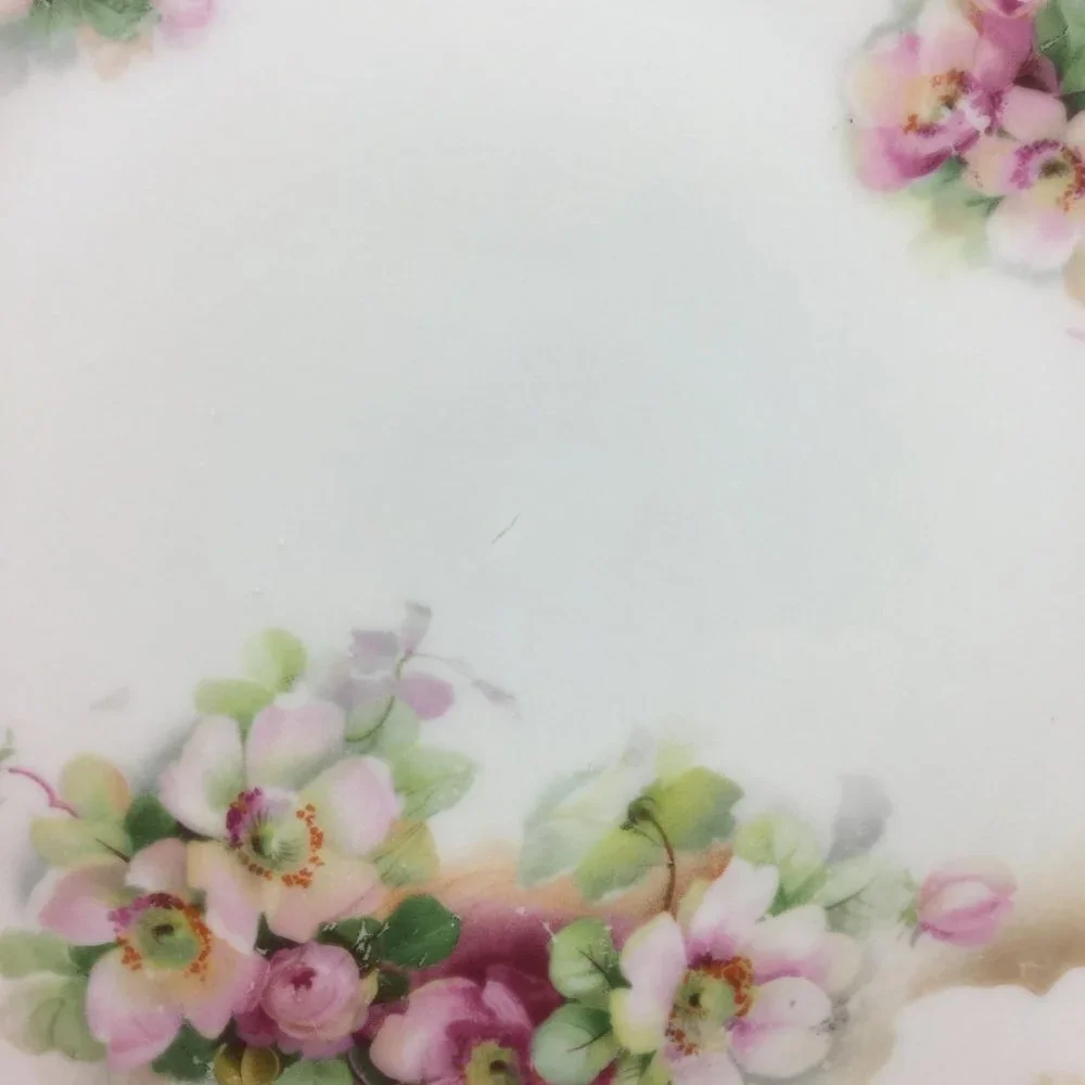 Vintage! Germany  Collection Plate 